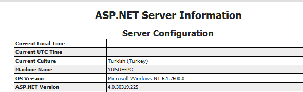 ASP.NET MVC ServerInfo